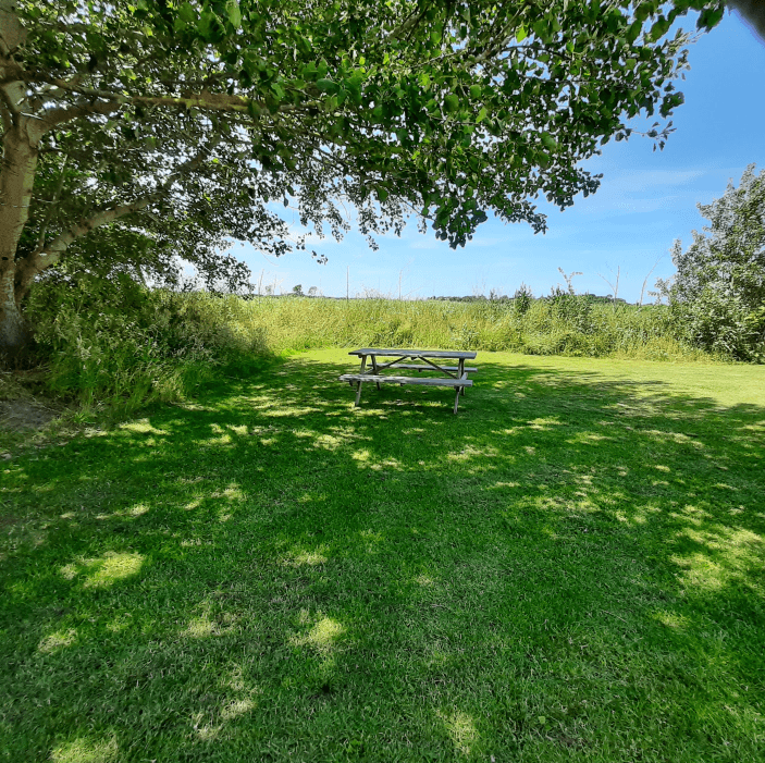 NIEUW OP TEXEL Camperplaats Kilstee