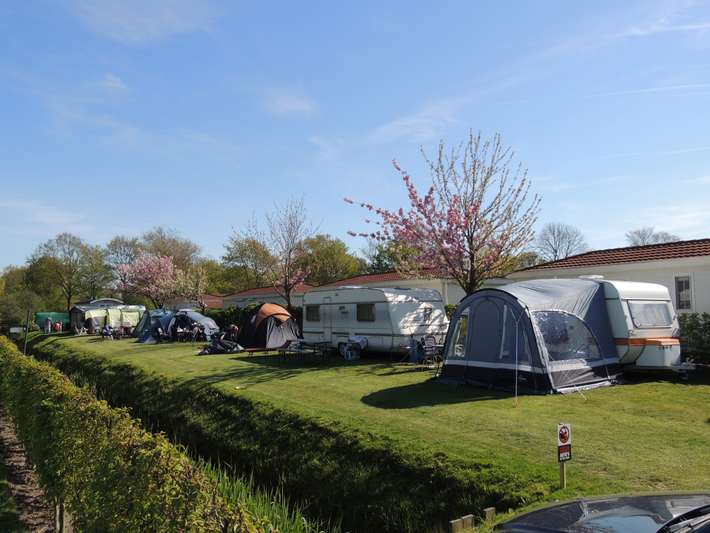 Strandcamping Dennenbos