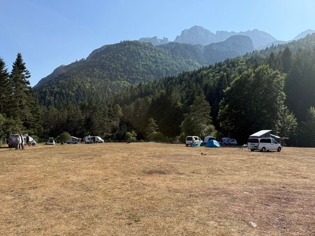 Selva de Oza