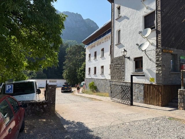 Selva de Oza