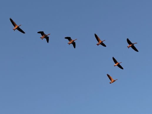 Aggiunta una foto a una posizione