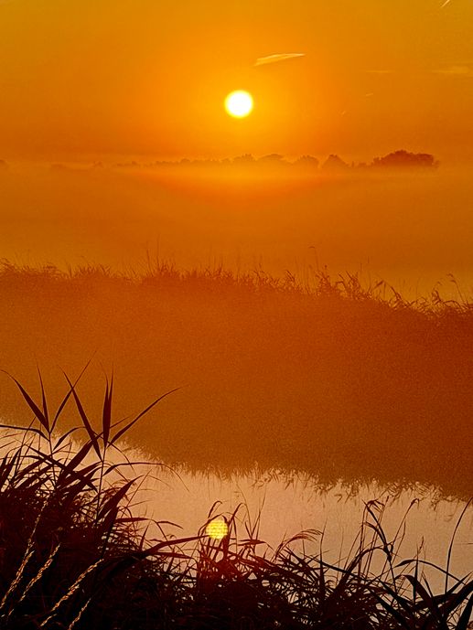 Aggiunta una foto a una posizione