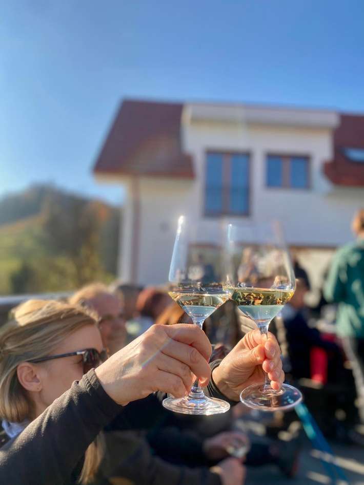 Wine Camp Jamnik