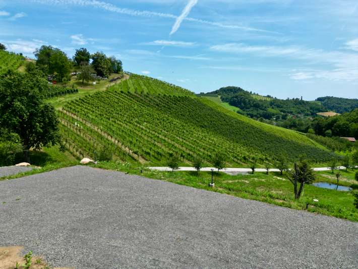 Wine Camp Jamnik