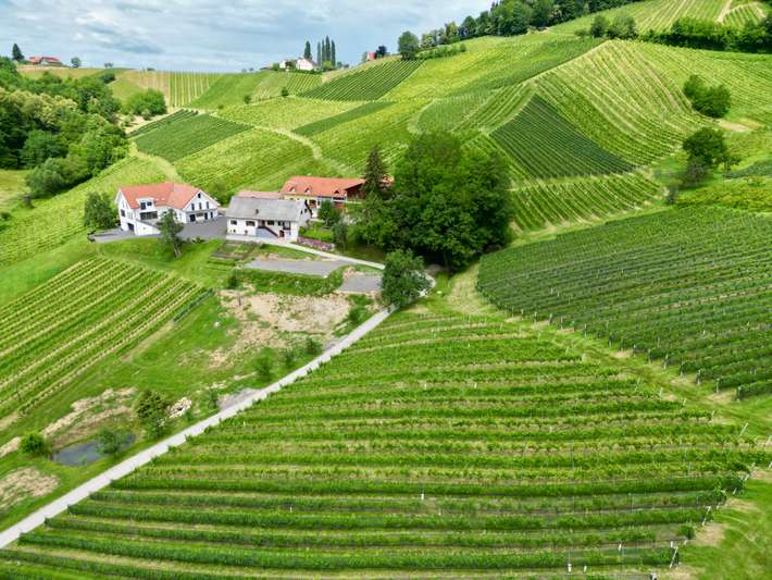 Wine Camp Jamnik