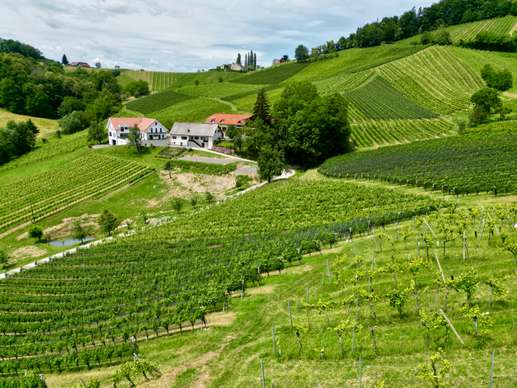 Wine Camp Jamnik