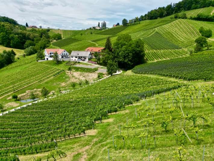 Wine Camp Jamnik