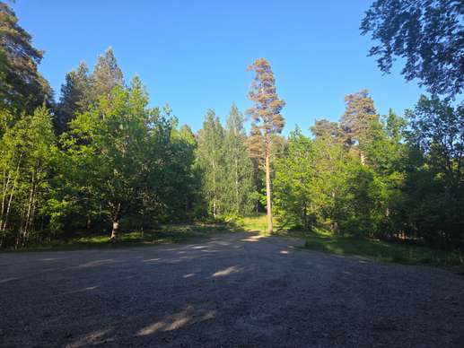 Added a photo to a location