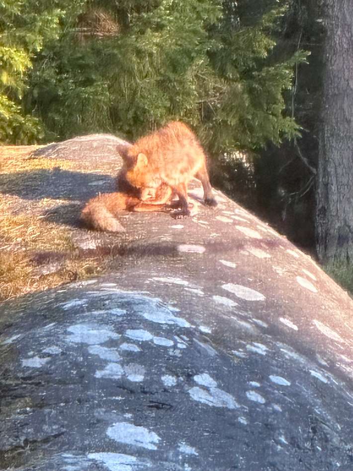 Ängskär Havscamping