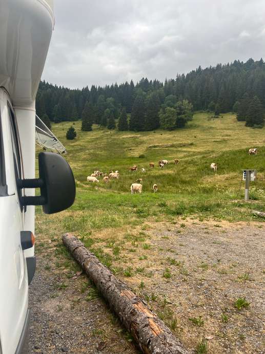 Ajout d'une photo à un emplacement