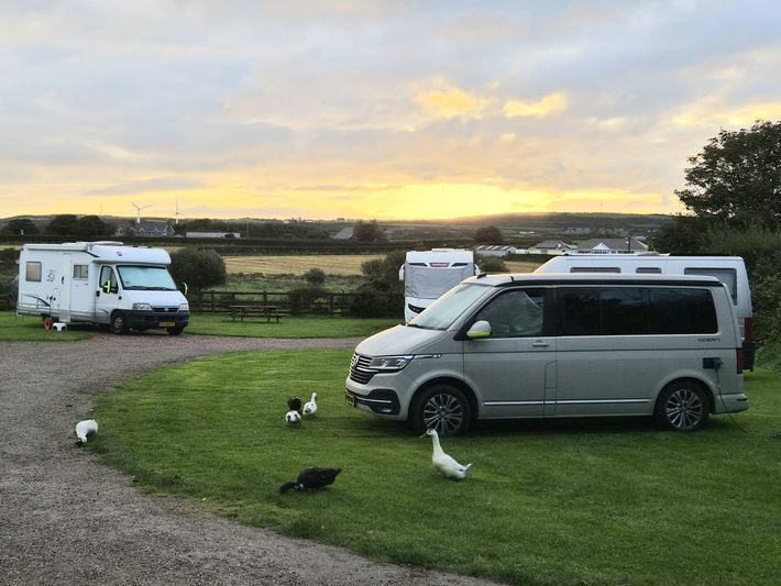 Maddybenny Campsite