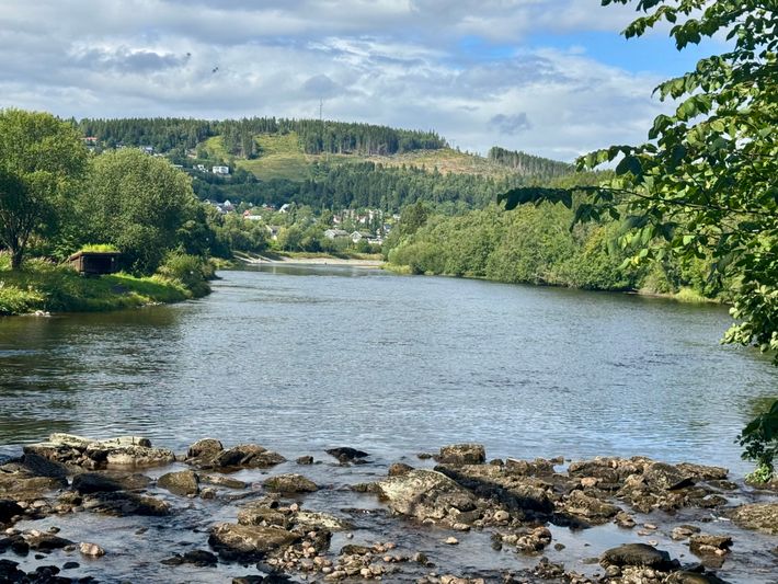 Guldbergaunet Sommerhotell og Camping