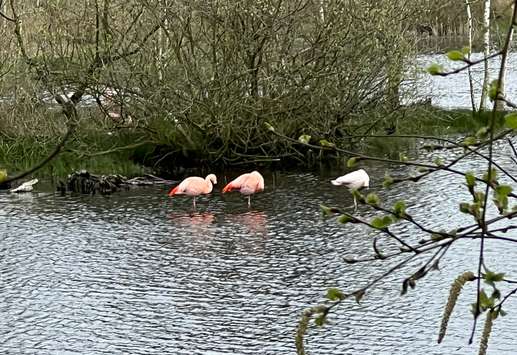Een foto toegevoegd aan een locatie