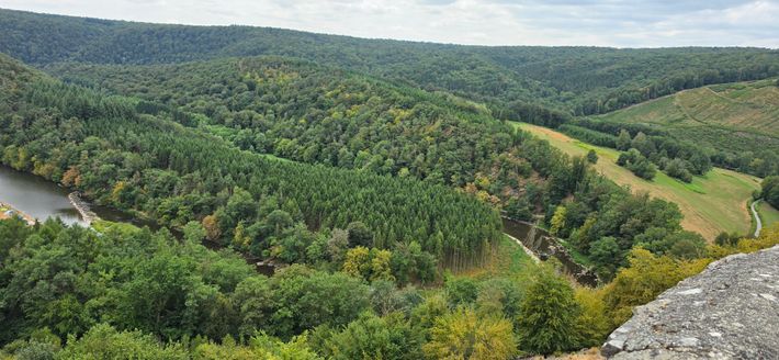 Camping-car Park d'Herbeumont