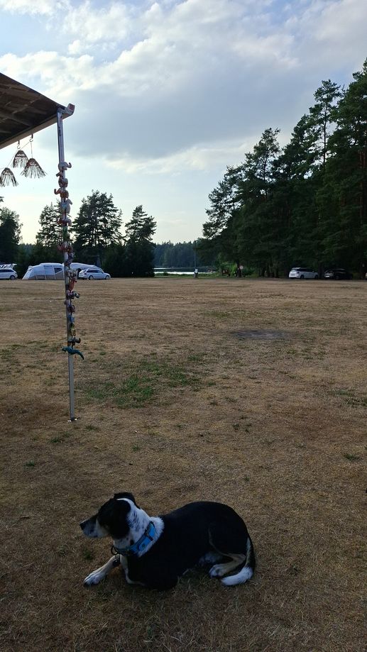 Added a photo to a location