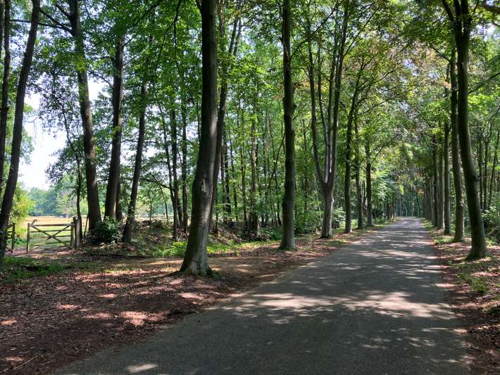 Puur natuur