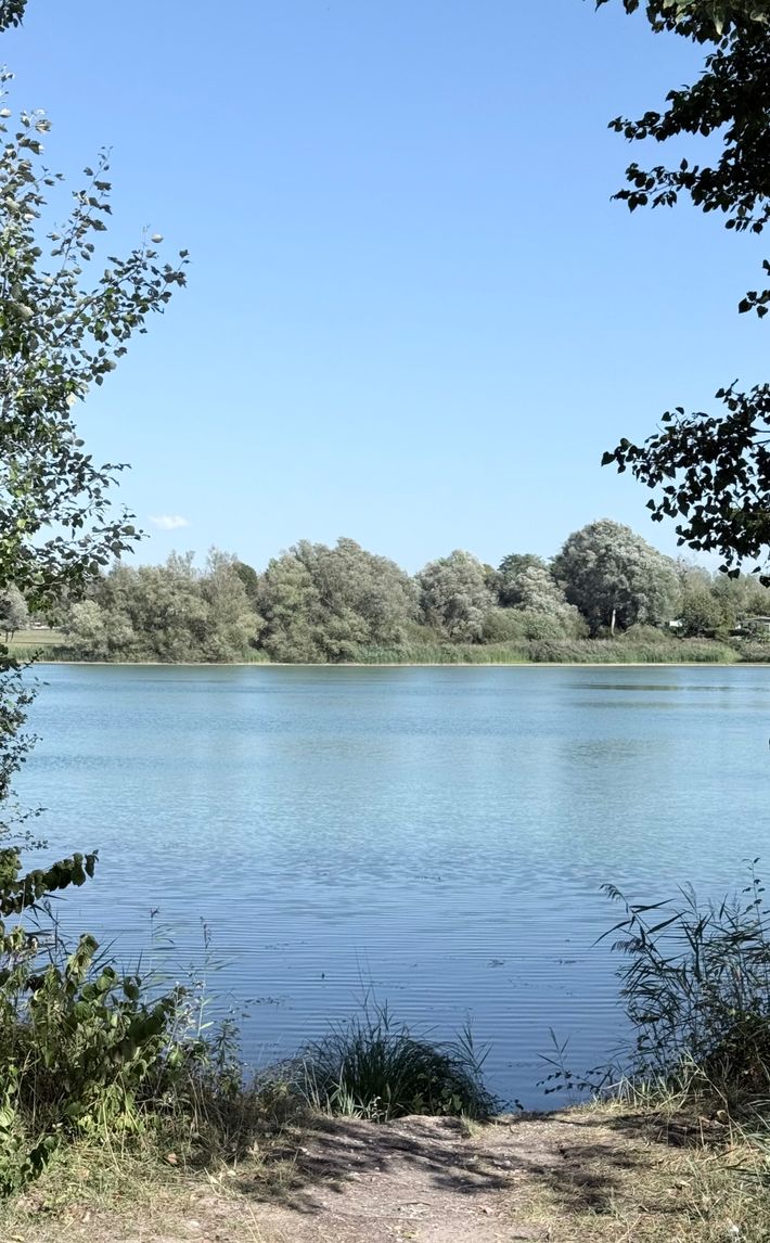 Camping-Car Park de Seltz