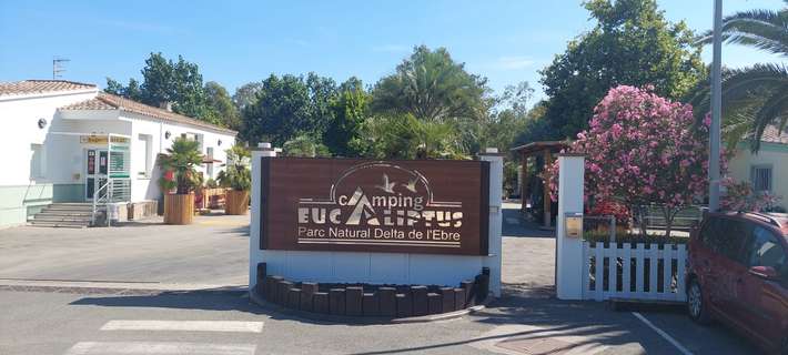Camping Eucalyptus