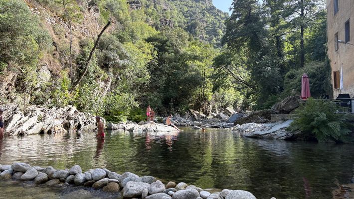 Camping Alivi di a Restonica