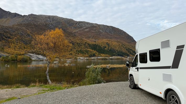 Gullesfjordbotn Camping