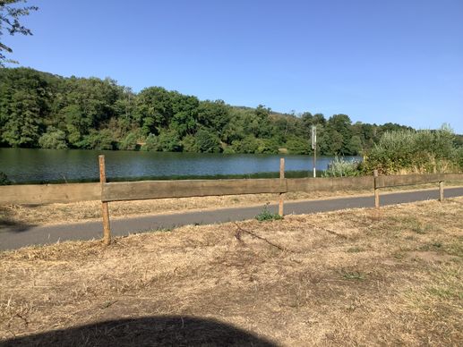 Added a photo to a location