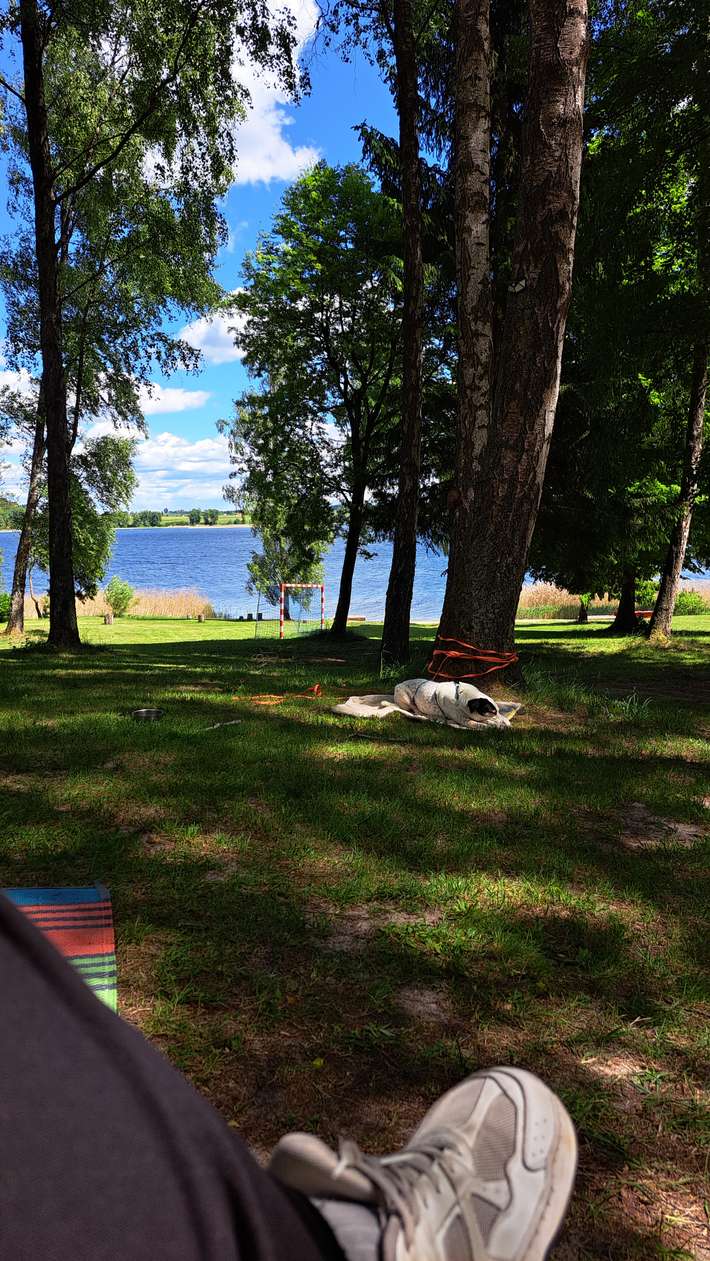 Narie Resort Marina Camper Site