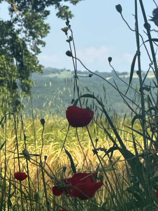 Aggiunta una foto a una posizione