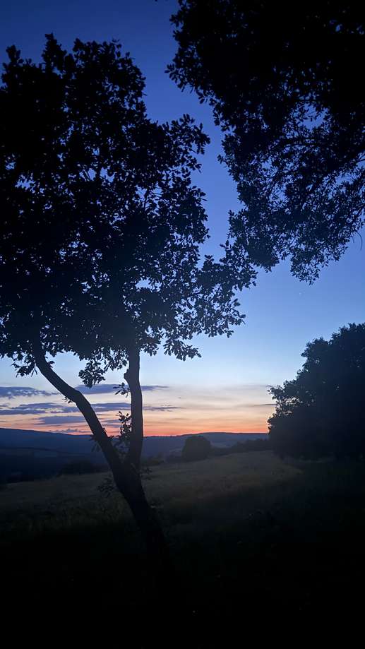 Aggiunta una foto a una posizione