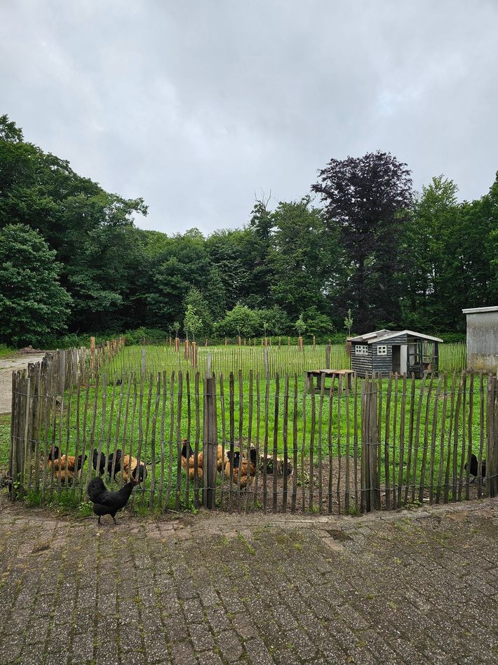 Camperplaats Op de kuilplaat