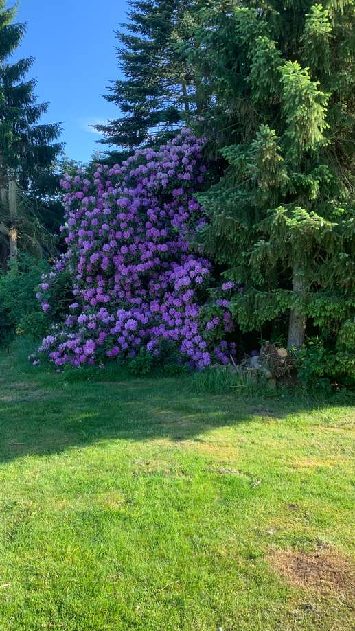 Added a photo to a location