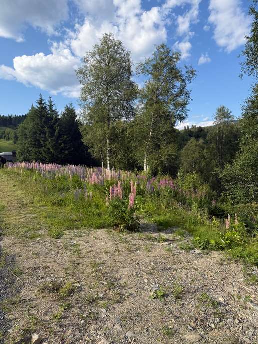 Added a photo to a location