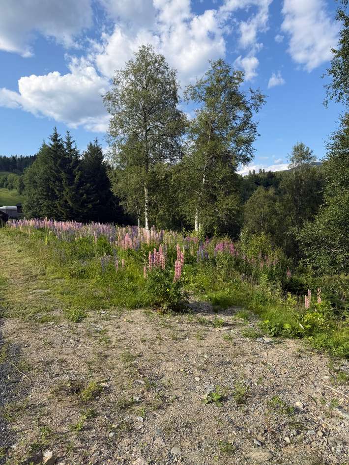 Groven Camping & Hyttegrend