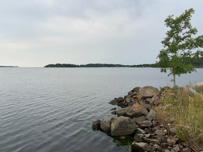 Östra Piren i Ronneby Hamn [Ekenäs]