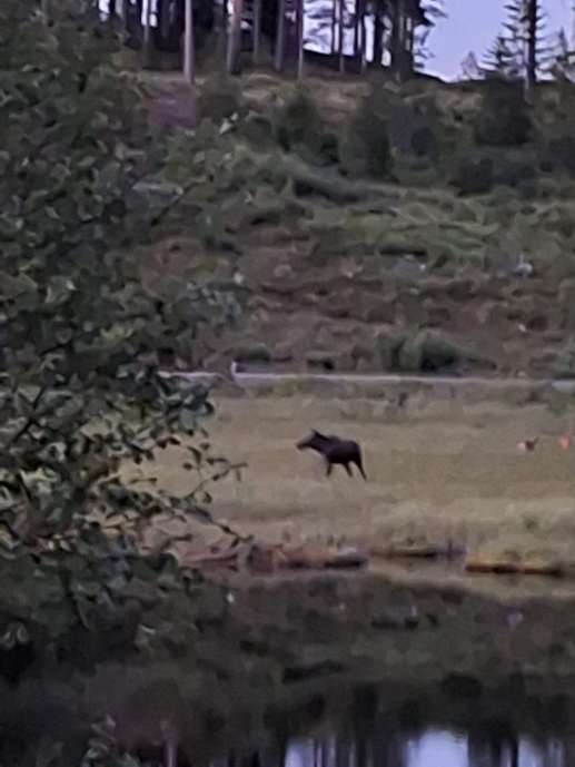 Added a photo to a location