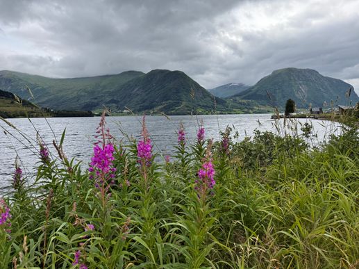 Added a photo to a location