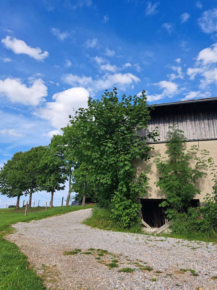 Bio Bauernhof