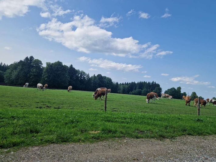 Bio Bauernhof