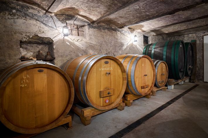 Organic winery and farm Valentan