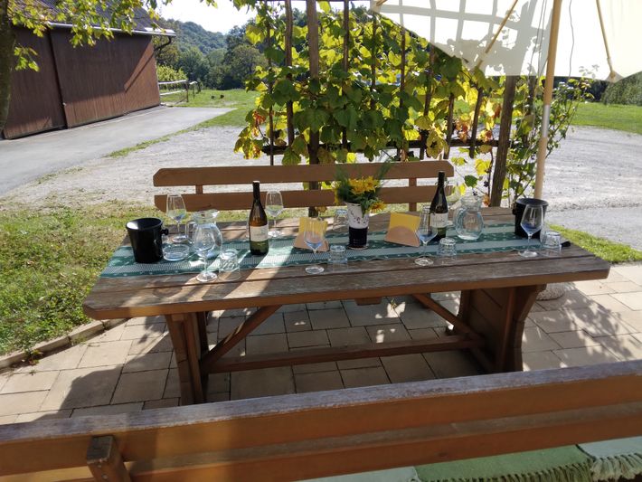 Organic winery and farm Valentan
