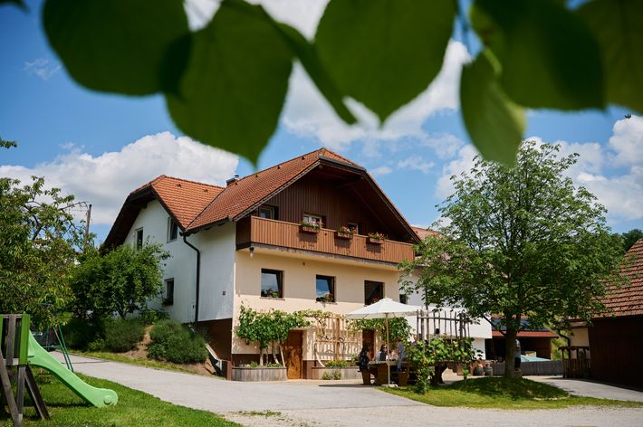 Organic winery and farm Valentan