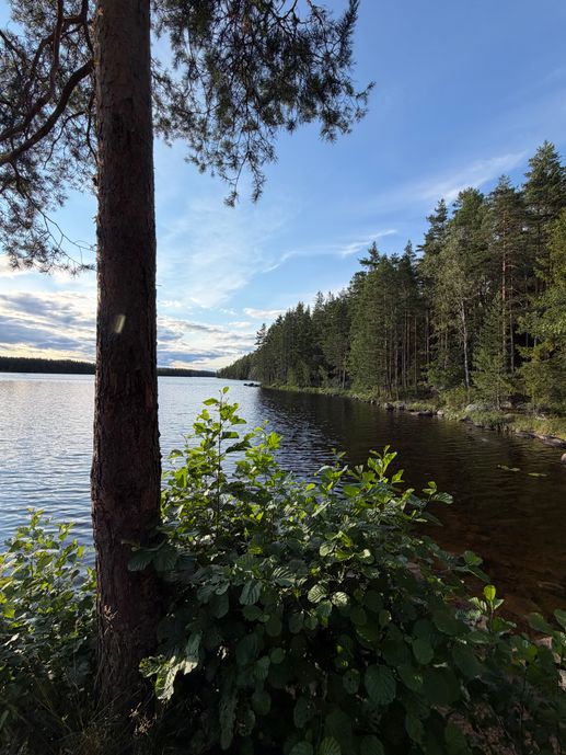 Aggiunta una foto a una posizione