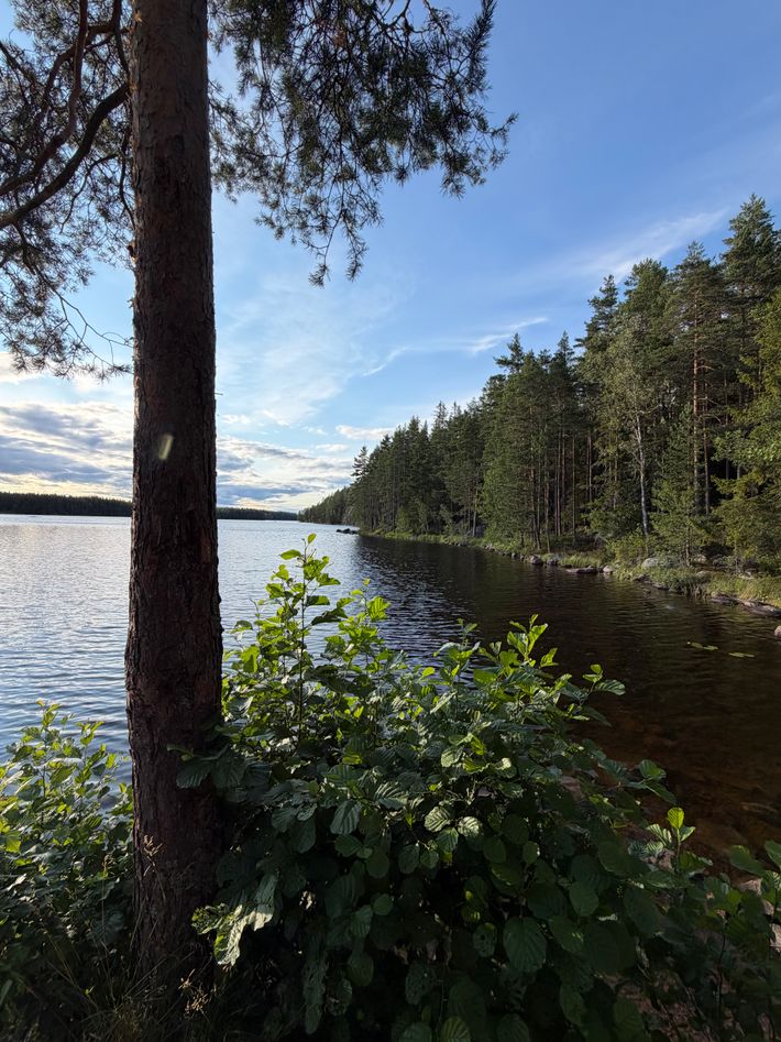 Storbergsudden