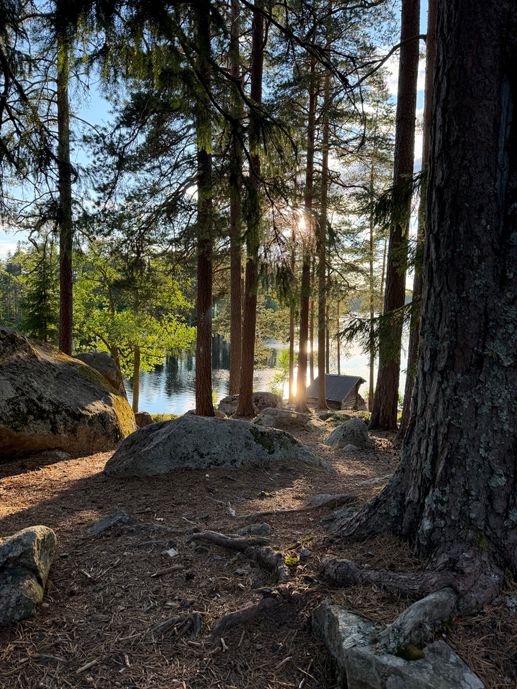 Aggiunta una foto a una posizione
