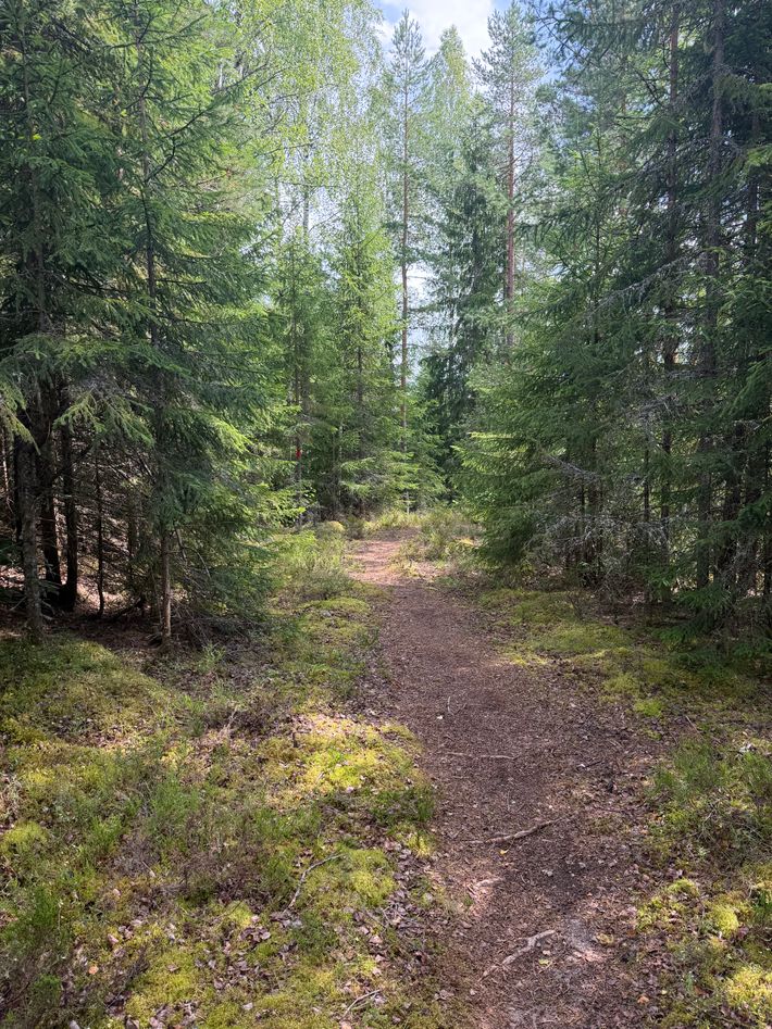 Storbergsudden