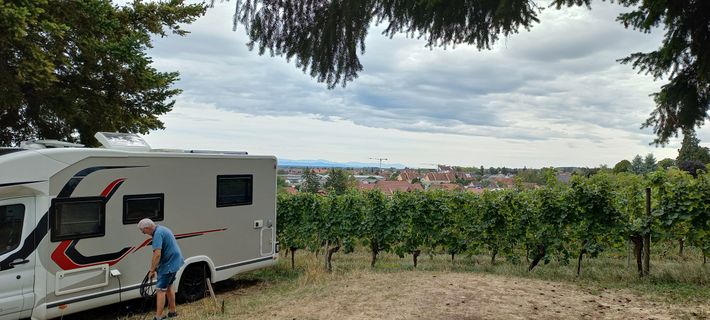 Domaine Bachert