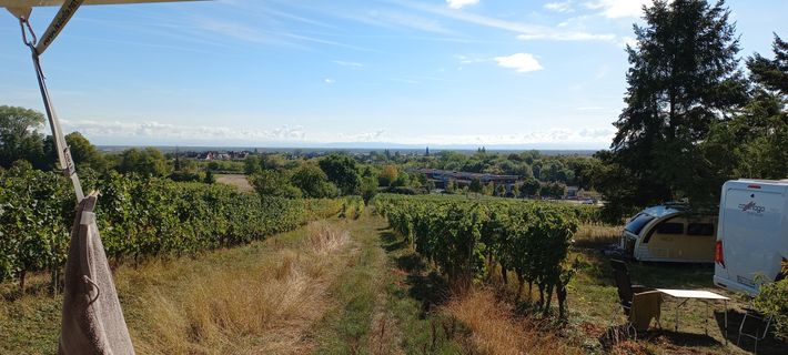 Domaine Bachert