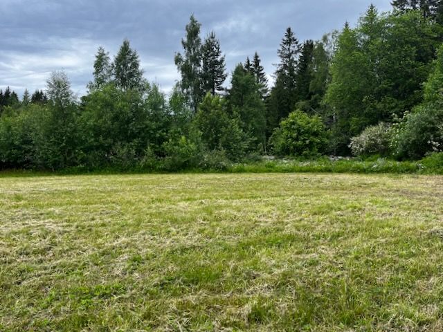 Ryggskog Sverige