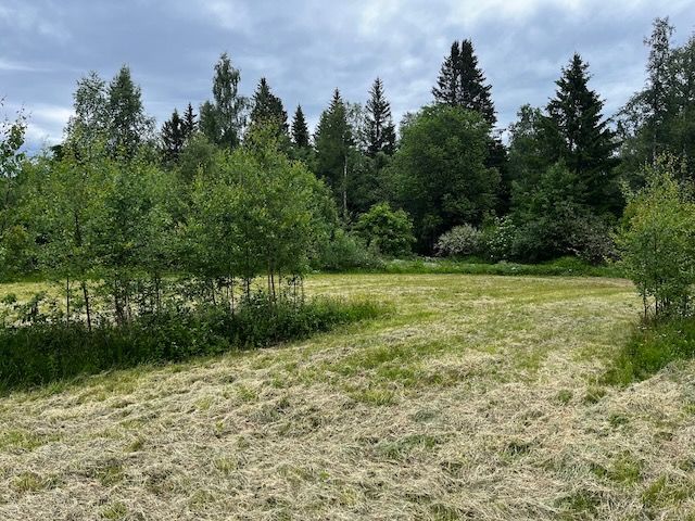 Ryggskog Sverige