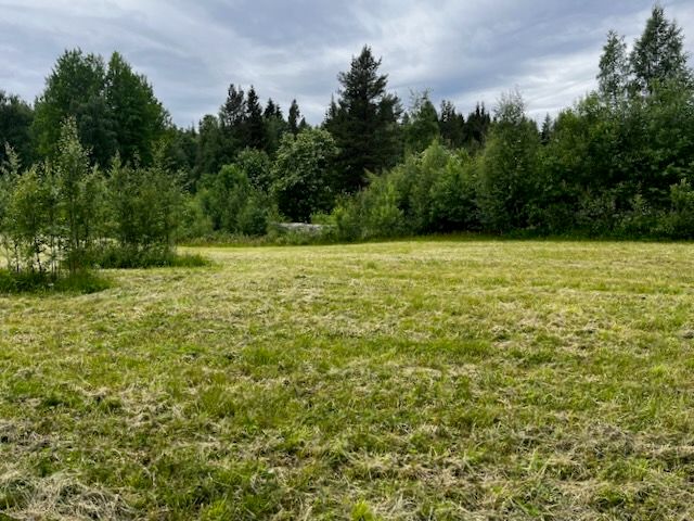 Ryggskog Sverige