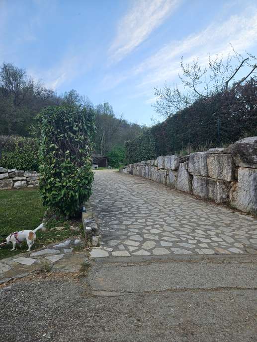 Added a photo to a location